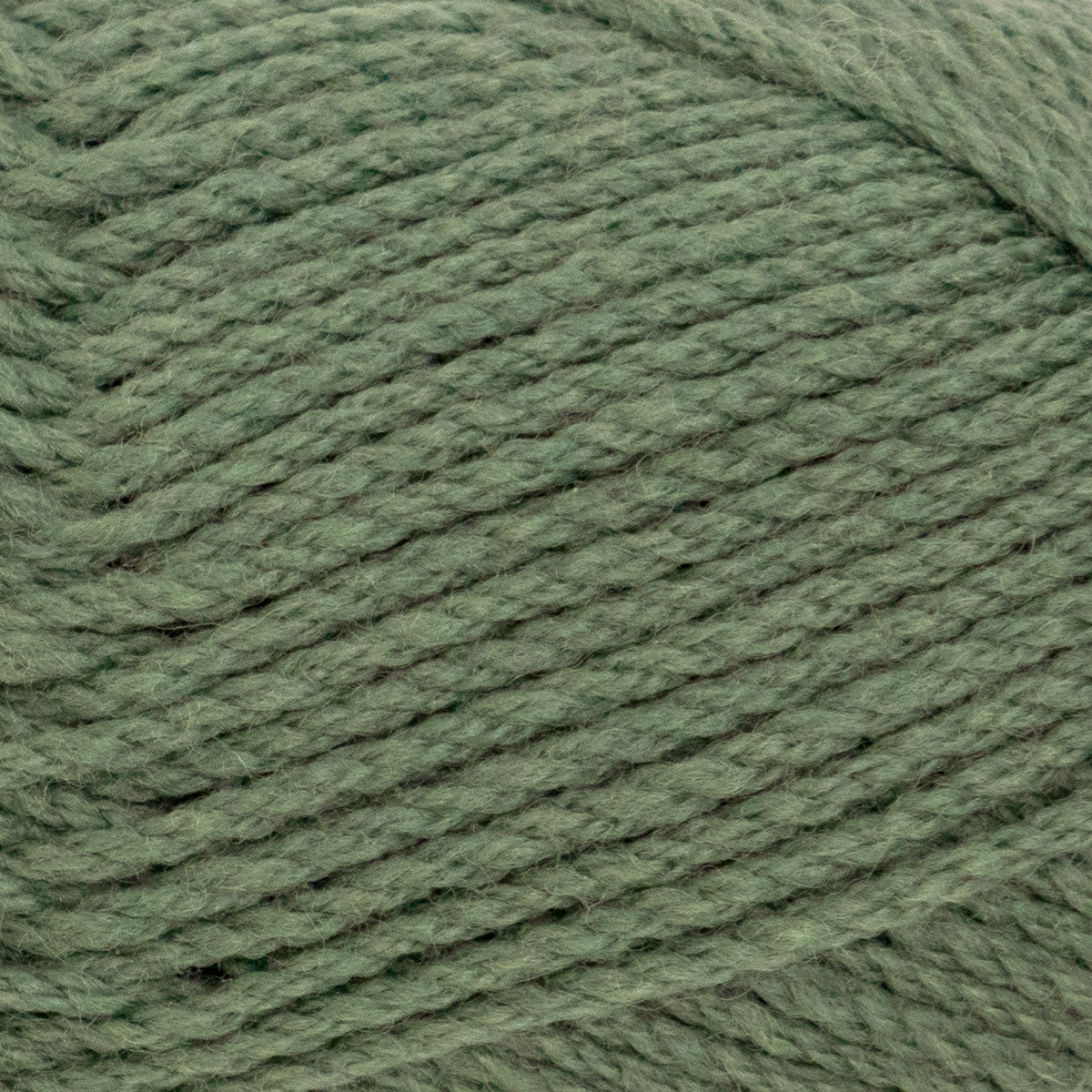 Patons Bluebell Merino 5ply Artichoke 4408